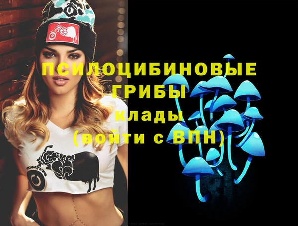 бошки Горно-Алтайск