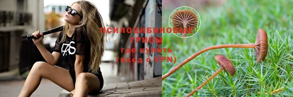 бошки Горно-Алтайск