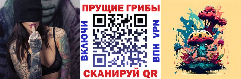 Купить где Морозовск Галлюциногенные грибы MAGIC MUSHROOMS